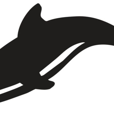 AR DOLPIN 16 RC Thumbnail