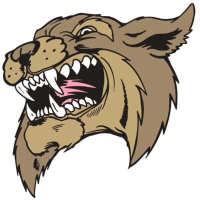 AR5 BOBCAT 09 RQC Thumbnail