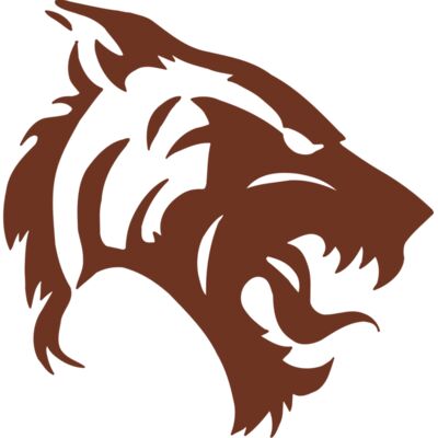 AR5 TIGER 06 RQC Thumbnail